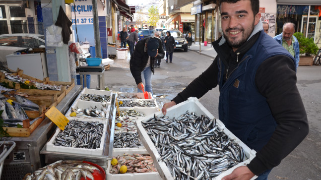 HAMSİ TEZGAHLARI SÜSLÜYOR 