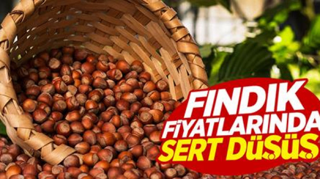 FINDIKTA DALGALI FİYAT