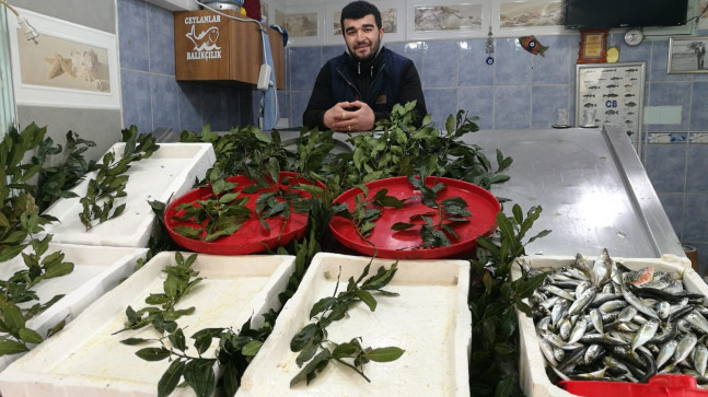 BALIKÇI TEZGAHLARI BOŞ KALDI