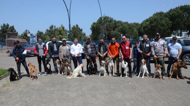 50 KÖPEK GÜZELLİK İÇİN YARIŞTI