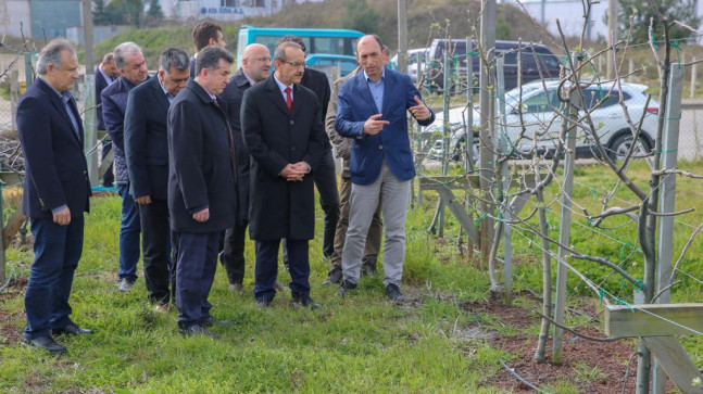 VALİ ÖRNEK FINDIK BAHÇESİNDEYDİ