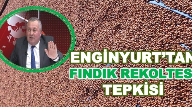 ENGİNYURT: “TÜİK NEYİN PEŞİNDE?”