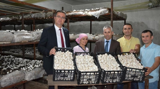YILMAZ: MANTAR KAZANDIRIYOR