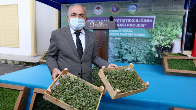 Ordu’da salep atağı