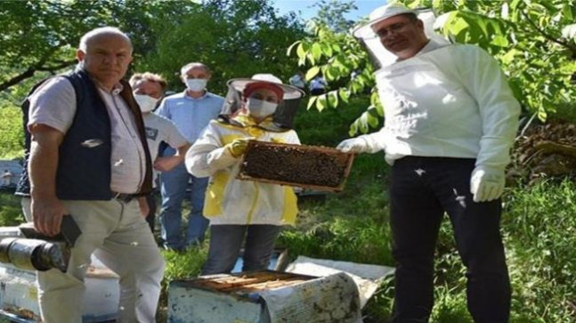 ARICILARIMIZIN DÜNYA ARI GÜNÜ KUTLANDI