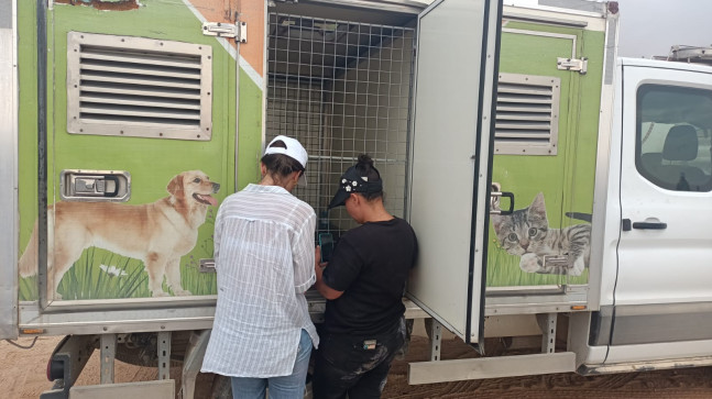 YAVRU PATİYE BAŞARILI OPERASYON