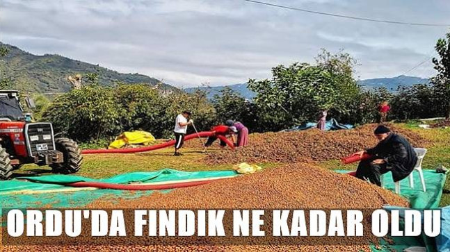 Bugün Fındık Kaç Lira ?