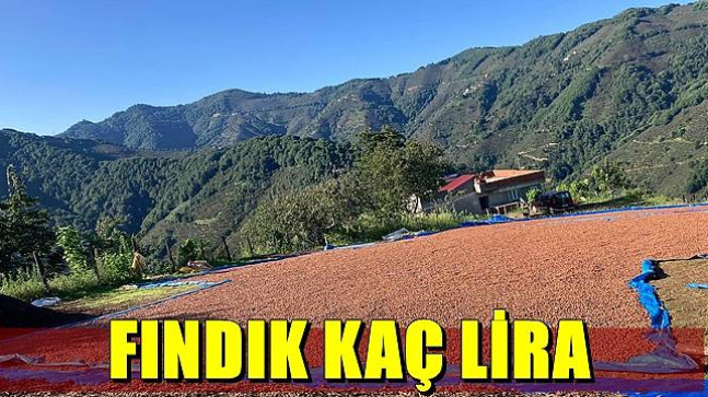 FINDIK KAÇ TL ?