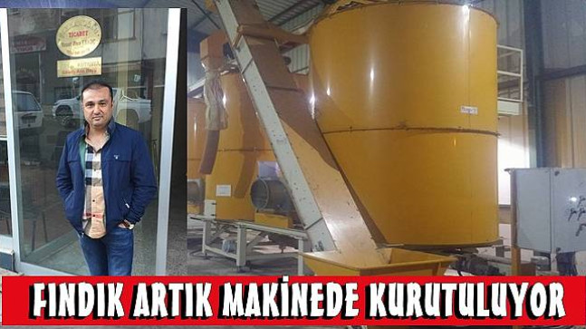 1 Ton Fındık 1250 TL’ye Kurutuluyor