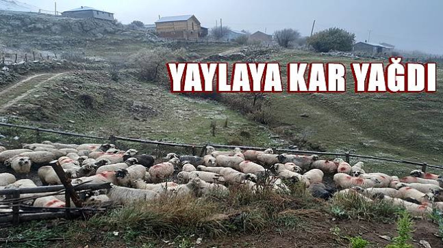 YAYLALARA KAR YAĞDI