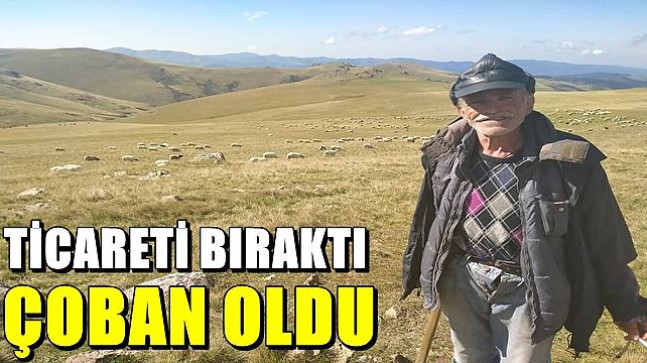 Ticareti bıraktı çoban oldu.