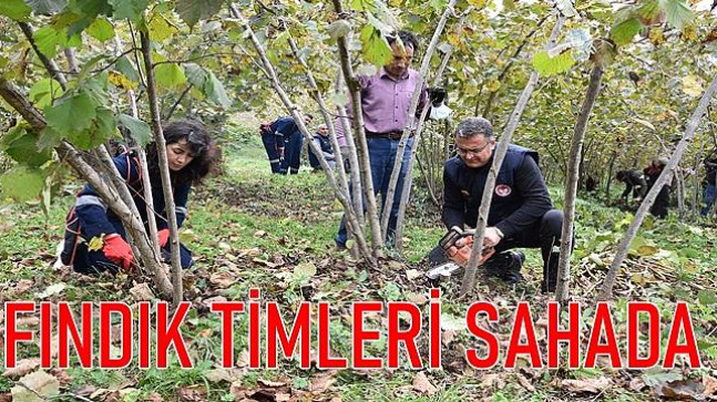 Fındık Timi Sahada