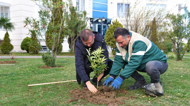 YEŞİL ŞEHİR ALTINORDU DAHA DA YEŞİLLENİYOR