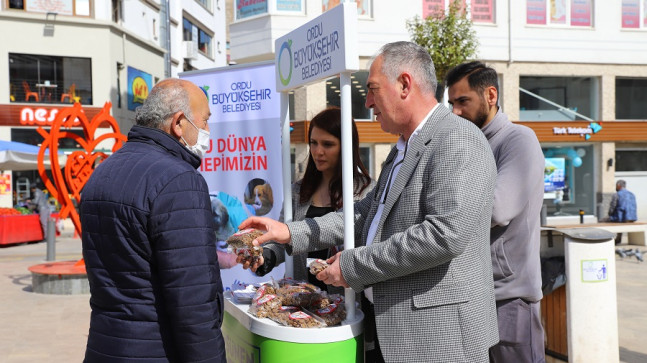 “SOKAK HAYVANLARI İÇİN DAHA ÇOK BİLİNÇLENMELİYİZ”