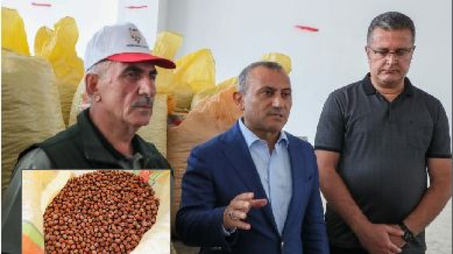 “TMO FINDIK ALIMINA BAŞLADI”