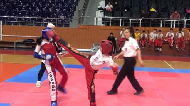 KICK BOKS İL BİRİNCİLİĞİ MÜSABAKALARI TAMAMLANDI