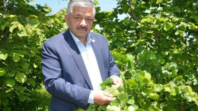 SOYDAN “Rekolte İçin Daha Erken”