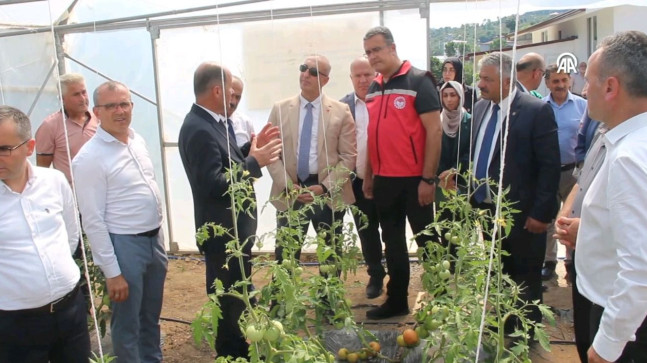 Ünye’de Bombus Arısı’nın Yaygınlaştırılması Projesi Tanıtıldı