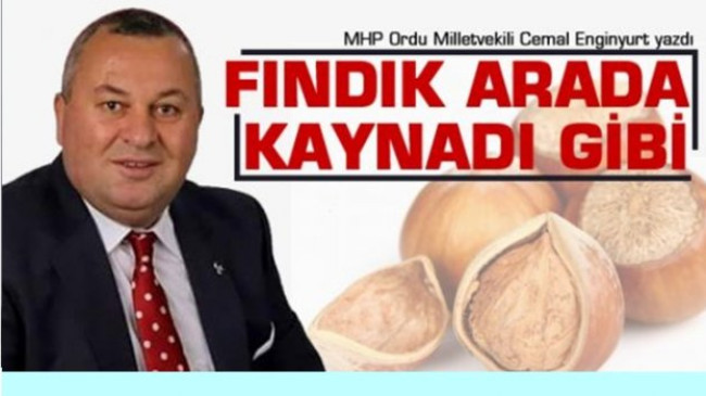CEMAL ENGİNYURT FINDIĞI YAZDI
