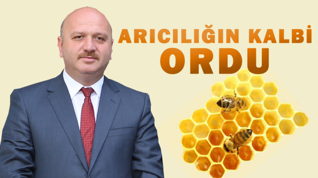 Arıcılığın Kalbi ORDU