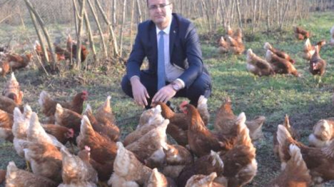YUMURTA ÜRETİMİNDE ARTIŞ