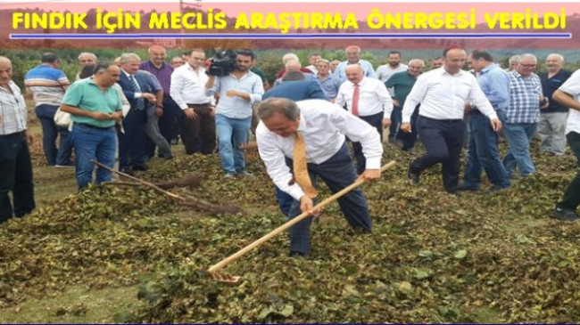 CHP’Lİ VEKİLLER FINDIĞI MECLİSE TAŞIDI