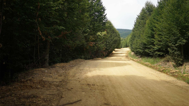 Ordu’da 2/B arazilerinin satışı sürüyor 