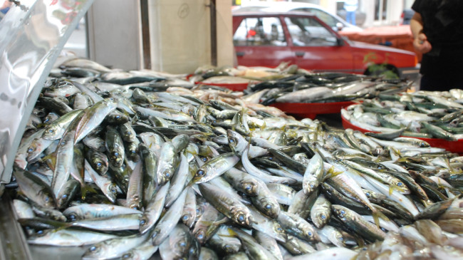 Türkiye’de balık tüketimi 7,6 kg