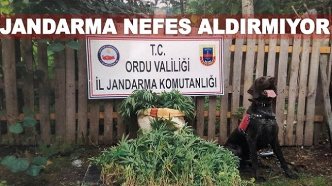 JANDARMA KOM BOŞ DURMUYOR