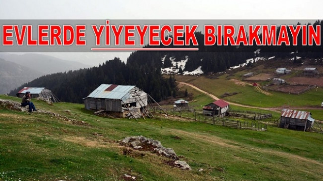 YAVUZ: YAYLADA YİYECEK BIRAKMAYIN