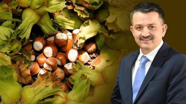 BAKAN PAKDEMİRLİ’DEN FLAŞ AÇIKLAMA“TMO STOKTAN FINDIK SATMAYACAK”