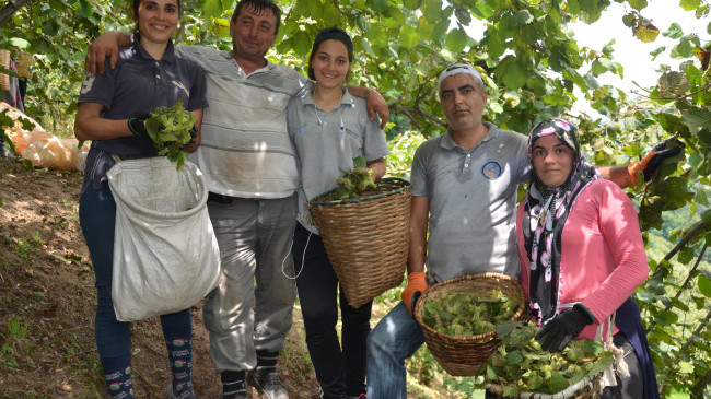 ÜRETİCİ BAHÇEYE GİRDİ