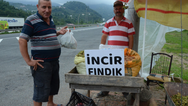 YAŞ FINDIK 15 LİRADAN TEZGAHLARDA