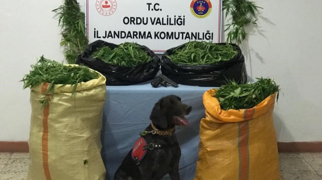 GÜRGENTEPE’DE UYUŞTURUCU OPERASYONU 4 KİŞİ GÖZALTINDA