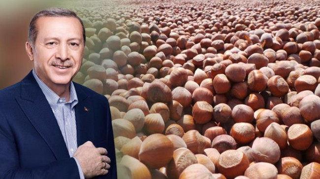 Fındık Fiyatlarından Memnun Olan Üreticiler ALLAH DEVLETİMİZE ZEVAL VERMESİN
