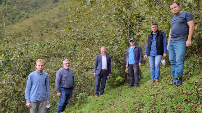 ÇAKILDAK FINDIK GÜRGENTEPE’YE TESCİLLENİYOR