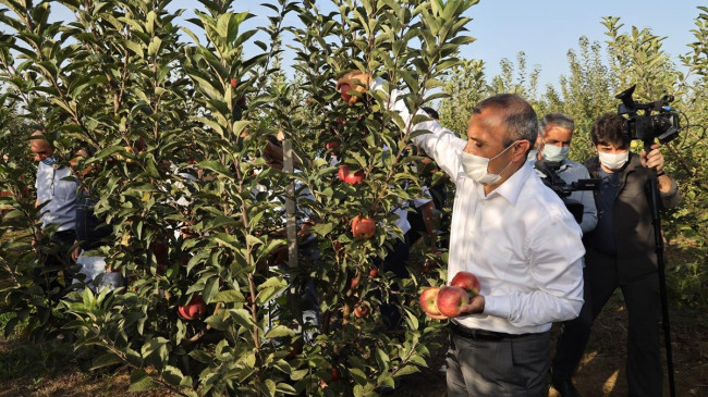 ODÜ meyve bahçesinde hasat şenliği