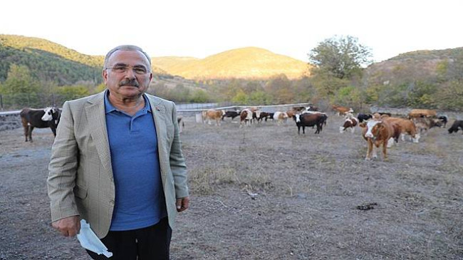 Besicilerin Tercihi Hayvan Bakım Oteli
