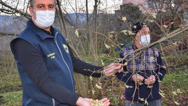 YILMAZ’DAN  ‘KOZALAK AKARI’ UYARISI