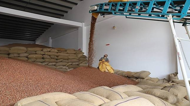 Bakımsız Bahçeler ‘Fınver’ İle Hayat Buldu