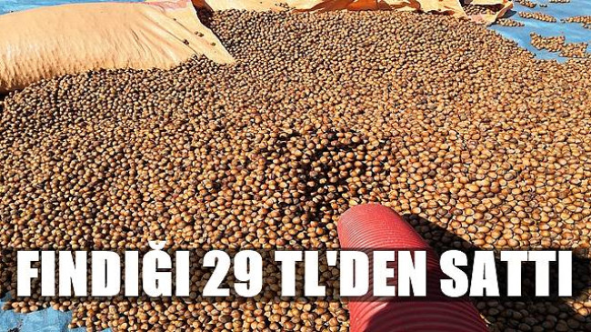 ÜRETİCİ FINDIĞI 29 TL’DEN SATTI