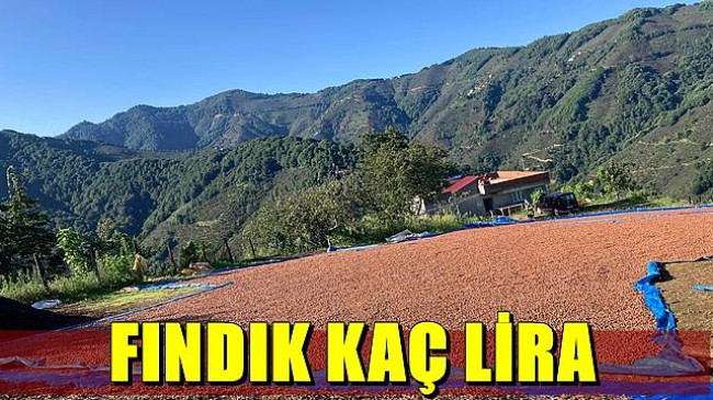 FINDIK KAÇ TL ?