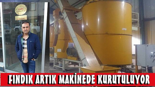 1 Ton Fındık 1250 TL’ye Kurutuluyor