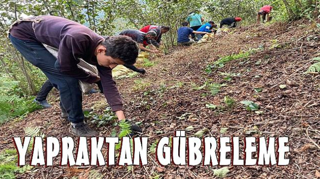 Fındıkta Yapraktan Gübreleme Uyarısı