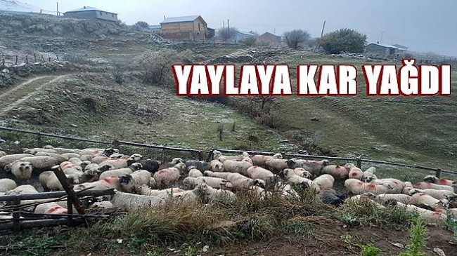 YAYLALARA KAR YAĞDI