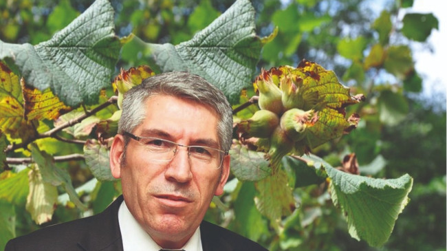 BİZ ÇEKİYORUZ KÜREĞİ, YABANCILAR YİYOR BÖREĞİ!
