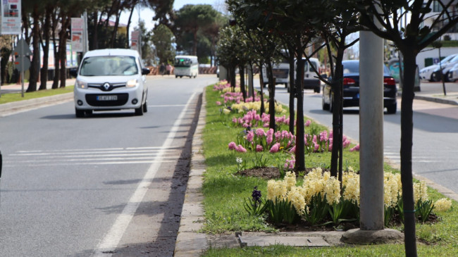 ORDU’DA ÇİÇEKLER AÇMAYA BAŞLADI