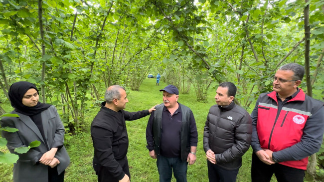 Vali Sonel, “Fındıkta Verim ve Kaliteyi Artırmak İçin Zirai Mücadele Önemli”