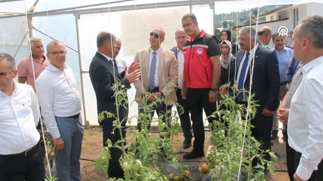 Ünye’de Bombus Arısı’nın Yaygınlaştırılması Projesi Tanıtıldı