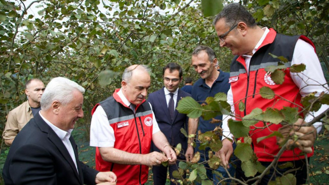 Vali Erol, Fındık Üreticisini Ziyaret Etti